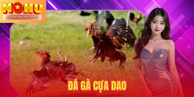 Đá Gà Cựa Dao