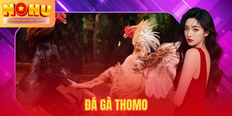 Đá Gà Thomo